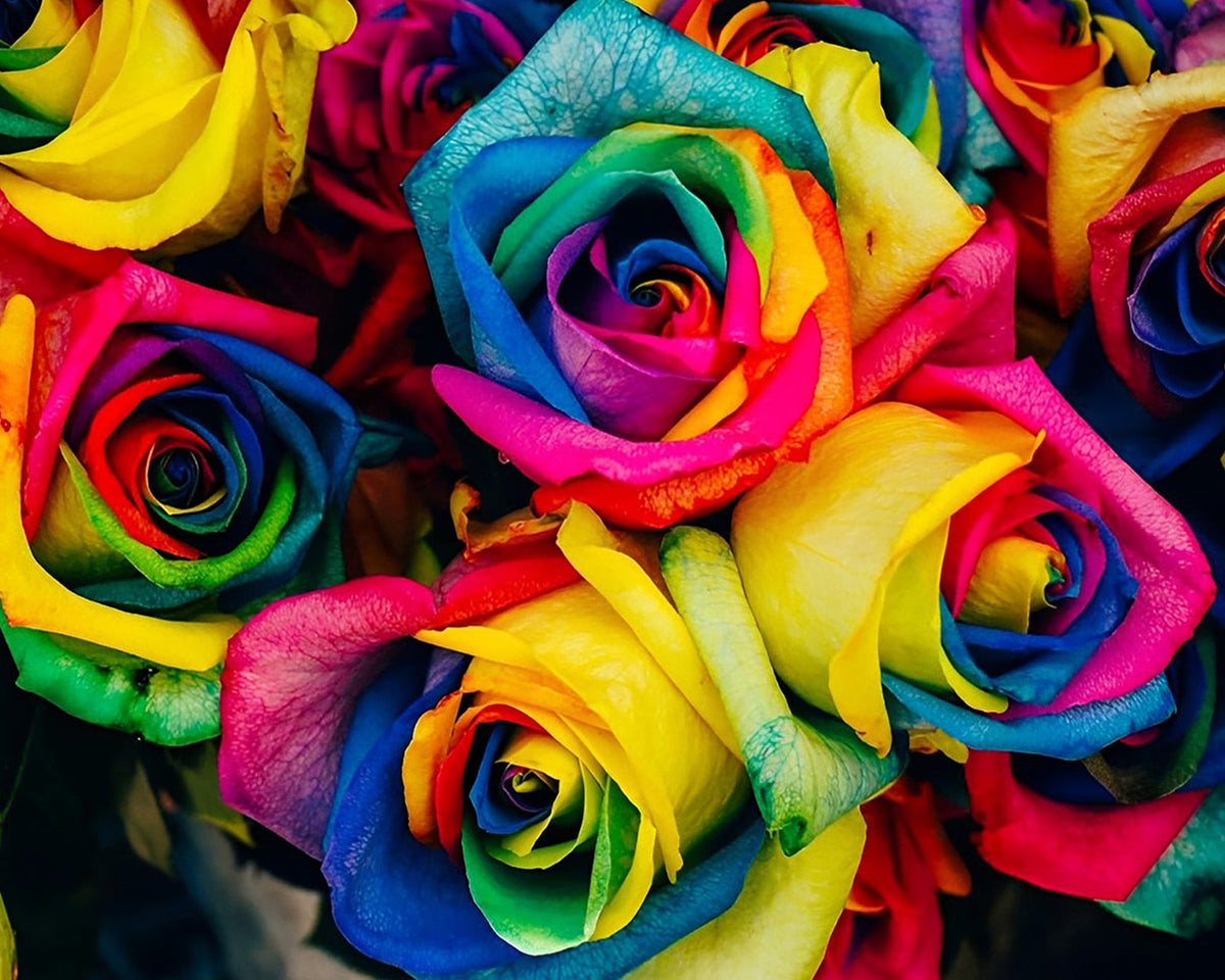 Rainbow roses bouquet cross stitch kit for beginners