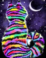 Rainbow striped cat in starry night cross stitch kit for beginners