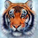Realistic bengal tiger face close-up cross stitch kit for beginners