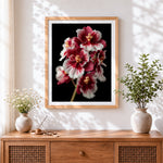 Finished red and white orchids on black background cross stitch artwork displayed