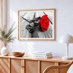 Red rose on weathered wood paint by numbers artwork displayed on wall as home decor
