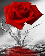 Red rose splashing in water cross stitch kit for beginners
