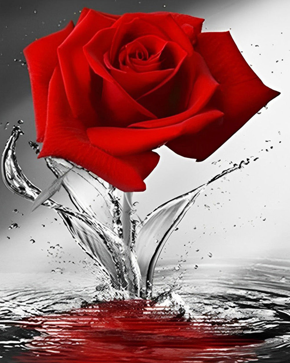 Red rose splashing in water cross stitch kit for beginners