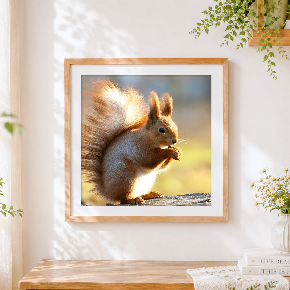 Finished red squirrel eating a nut cross stitch artwork displayed