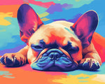 Relaxed french bulldog pop art paint by numbers kit for beginners