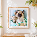 Finished relaxed pug with headphones and phone paint by numbers artwork displayed as home decor