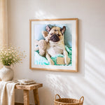 Relaxed pug with headphones and phone paint by numbers artwork displayed on wall as home decor