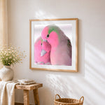 Romantic parrots cross stitch artwork displayed on wall as home decor