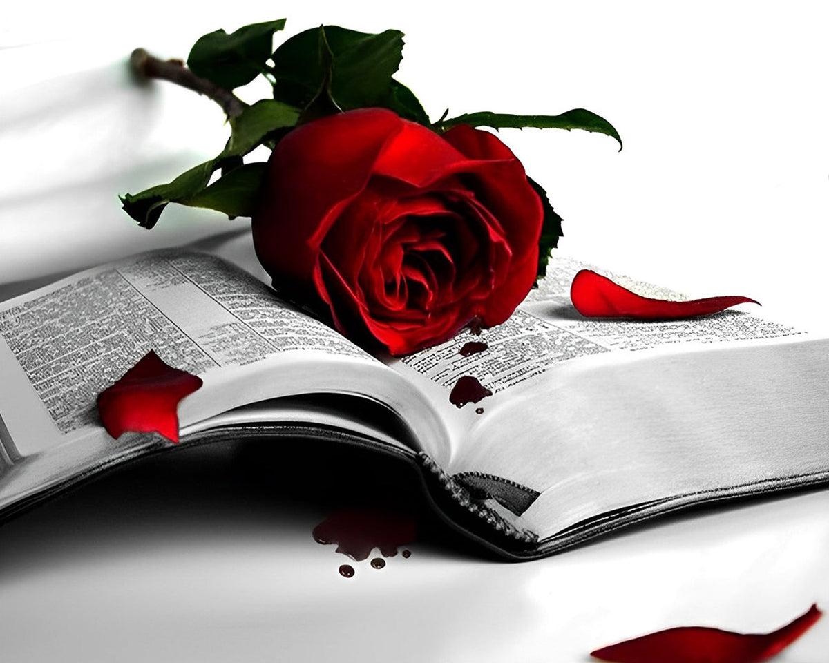 Romantic red rose on an open book paint by numbers kit for beginners