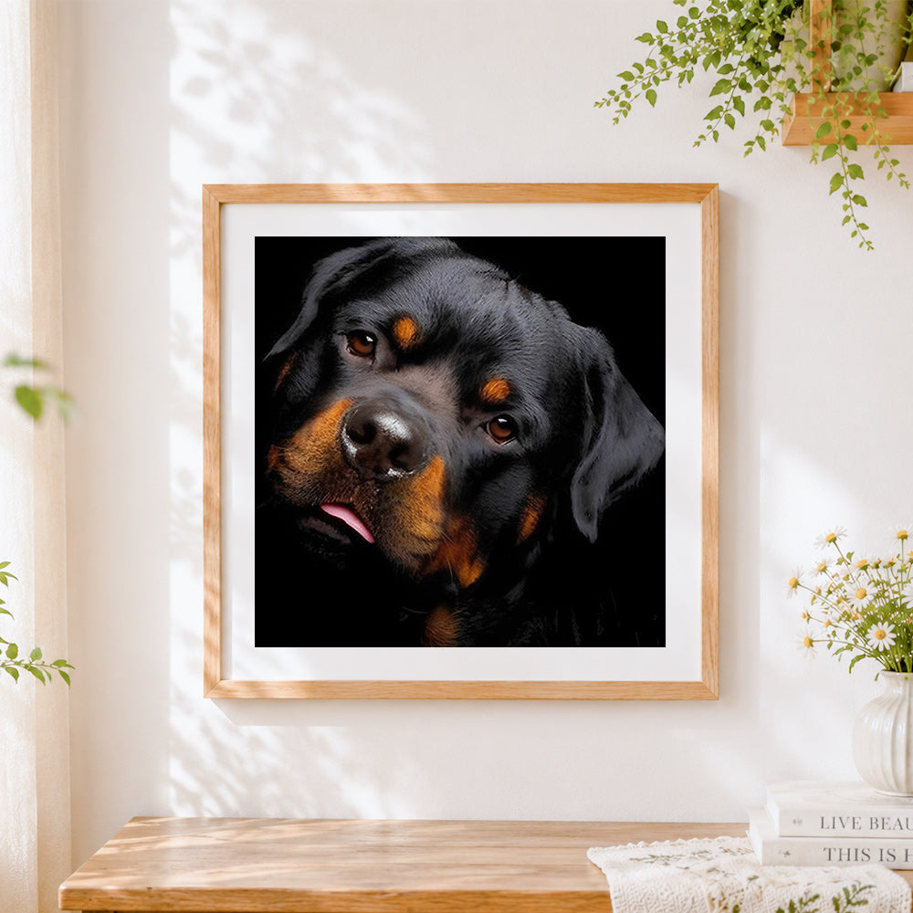 Finished rottweiler portrait on black cross stitch artwork displayed