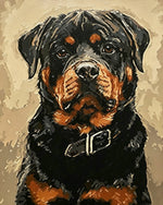Rottweiler portrait paint by numbers kit for beginners
