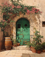 Rustic green door and bougainvillea cross stitch kit for beginners
