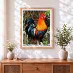 Finished rustic rooster cross stitch artwork displayed