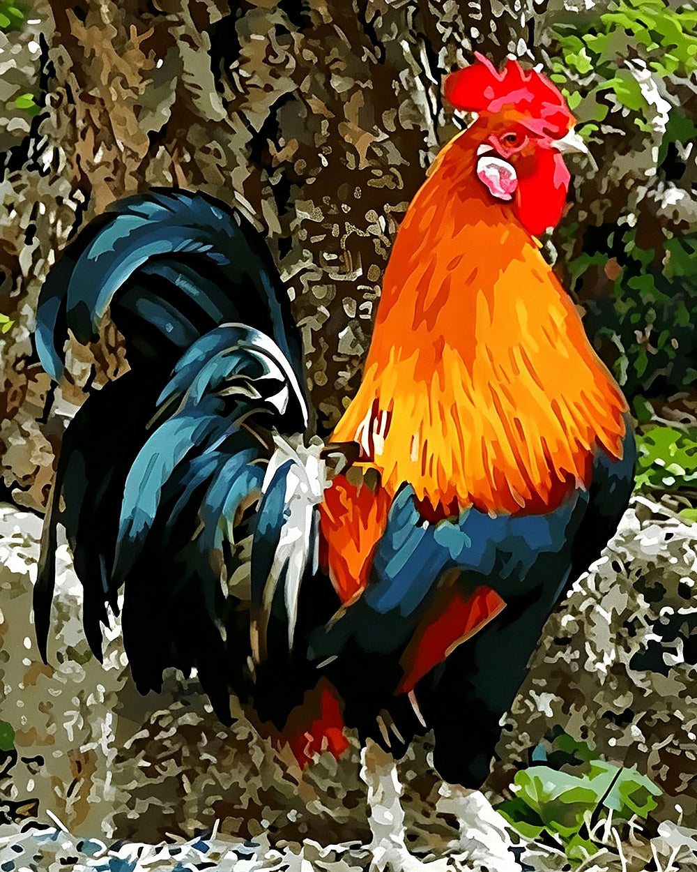 Rustic rooster cross stitch kit for beginners