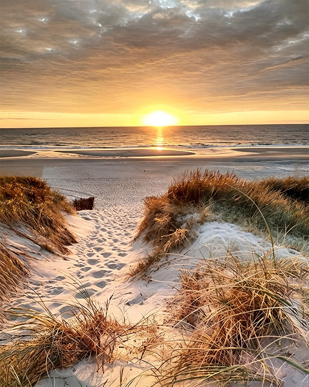 Sand dunes at sunset cross stitch kit for beginners
