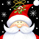 Santa claus with mistletoe and santa hat paint by numbers kit for beginners