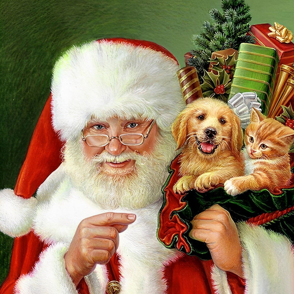 Santa claus with puppy and kitten paint by numbers kit for beginners