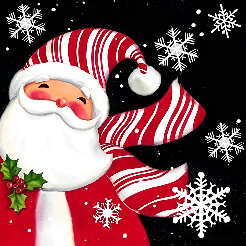 Santa claus with striped hat and snowflakes cross stitch kit for beginners