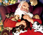 Santa cuddling puppies and kittens cross stitch kit for beginners