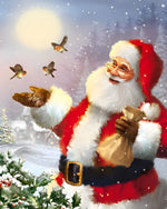 Santa feeding winter birds in the snow cross stitch kit for beginners