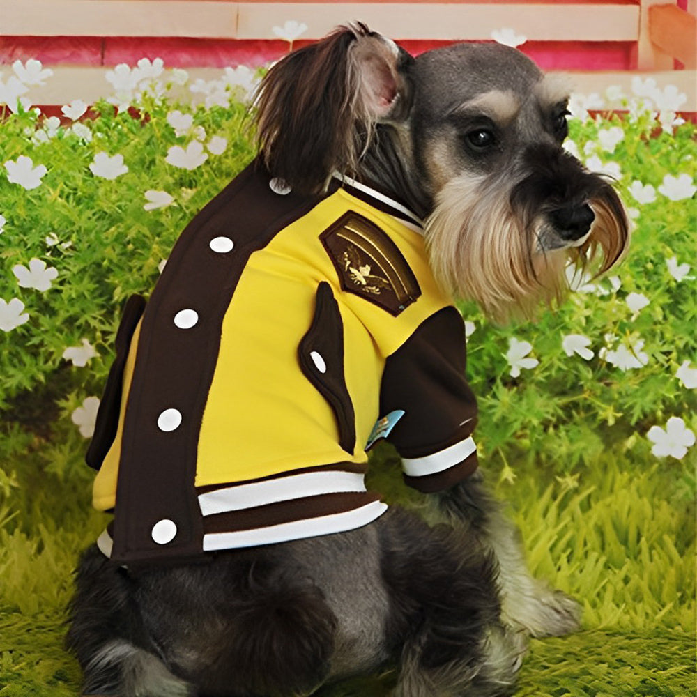 Schnauzer in a yellow jacket cross stitch kit for beginners