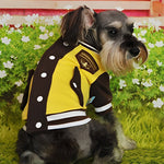Schnauzer in a yellow jacket cross stitch kit for beginners