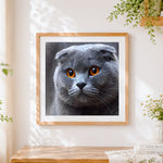 Finished scottish fold cat close-up cross stitch artwork displayed
