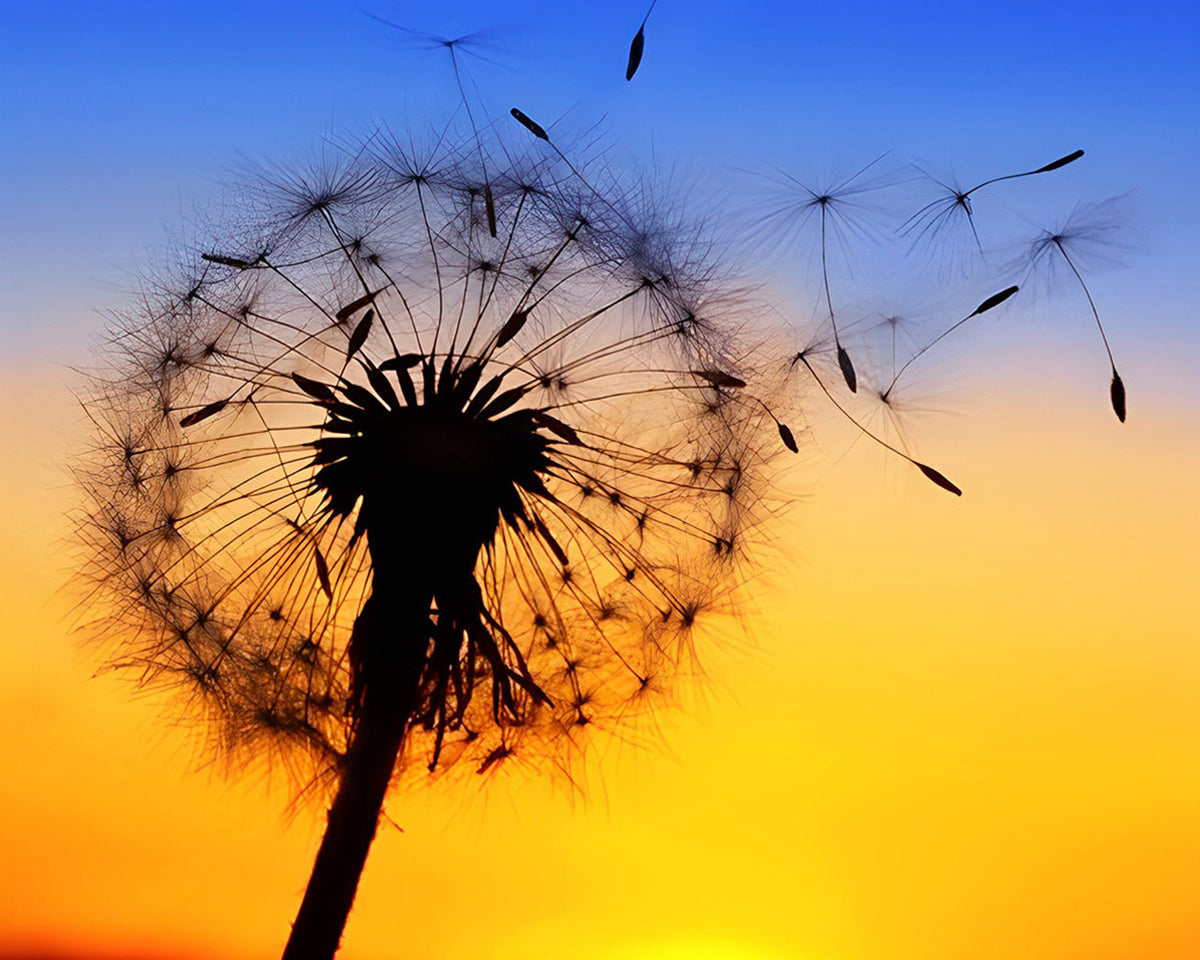 Seeds blowing in the wind cross stitch kit for beginners