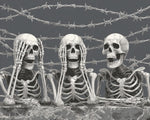 Skeletons behind barbed wire paint by numbers kit for beginners
