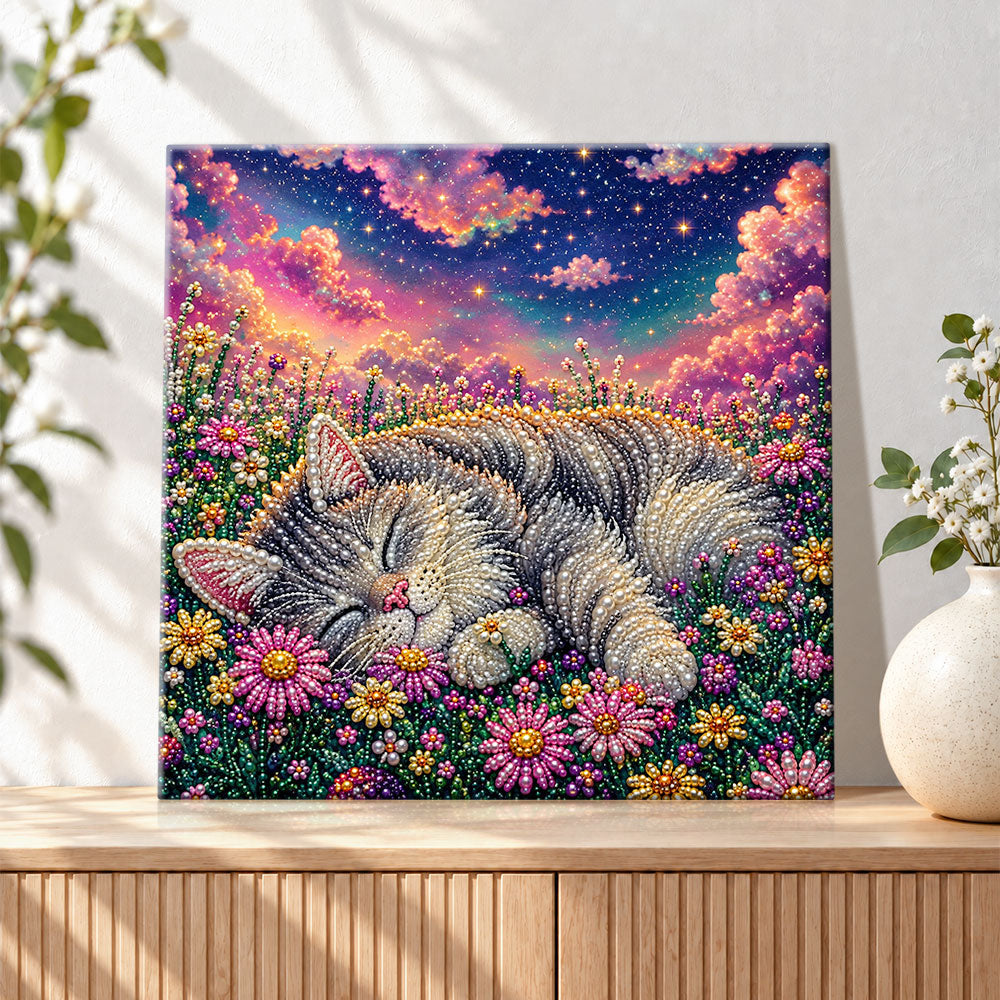 Finished sleeping cat under starry sky pearl diamond painting artwork displayed as holiday home decor