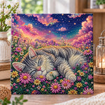 Sleeping cat under starry sky pearl diamond painting kit for beginners