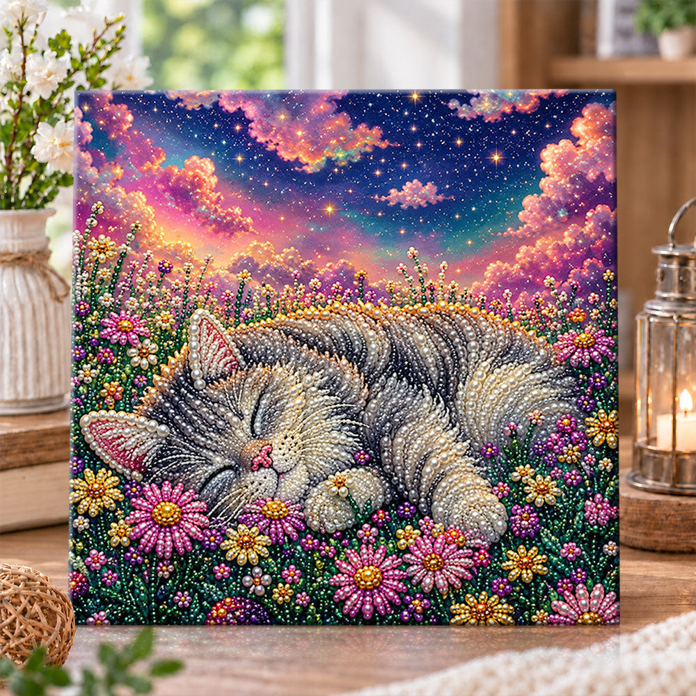 Sleeping cat under starry sky pearl diamond painting kit for beginners