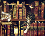 Sleeping tabby cat on bookshelf cross stitch kit for beginners
