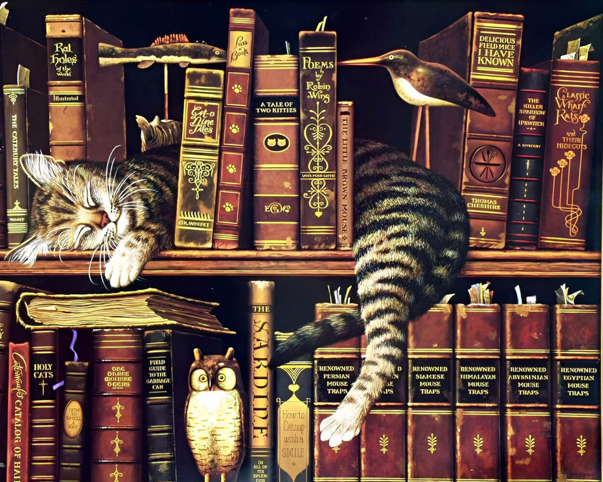Sleeping tabby cat on bookshelf cross stitch kit for beginners
