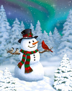 Snowman with winter birds under aurora night sky cross stitch kit for beginners