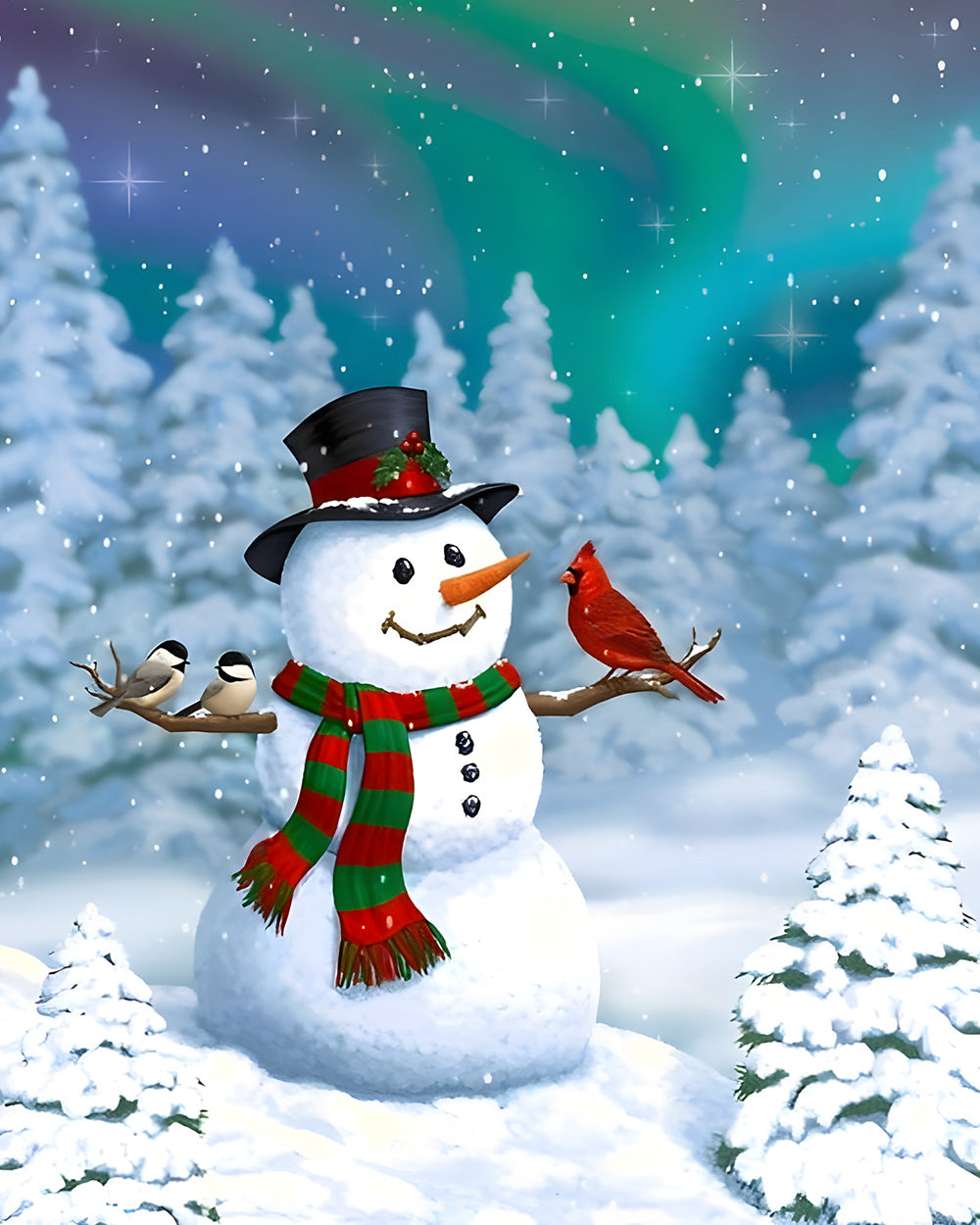 Snowman with winter birds under aurora night sky cross stitch kit for beginners