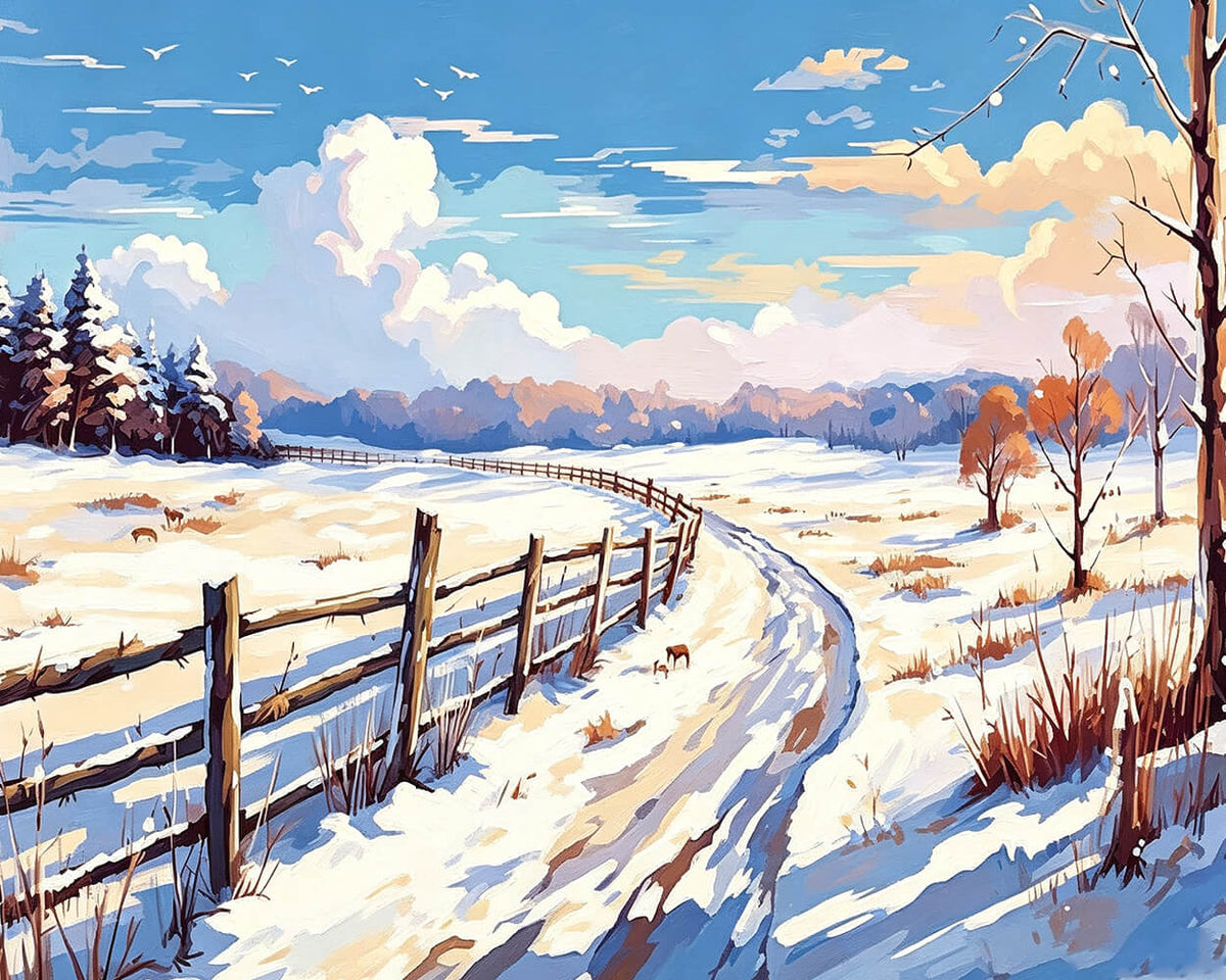 Snowy fence and winding path paint by numbers kit for beginners
