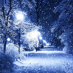 Snowy night forest with street lamp cross stitch kit for beginners