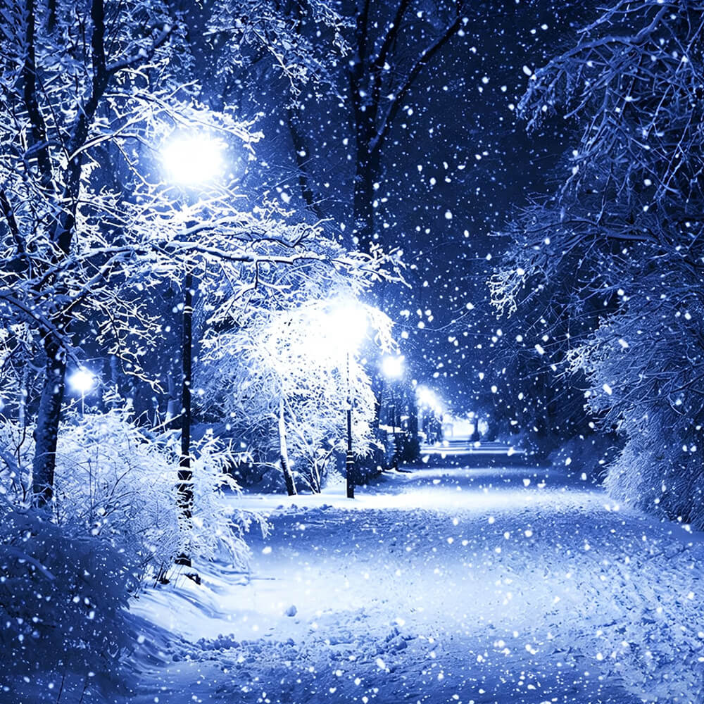 Snowy night forest with street lamp cross stitch kit for beginners