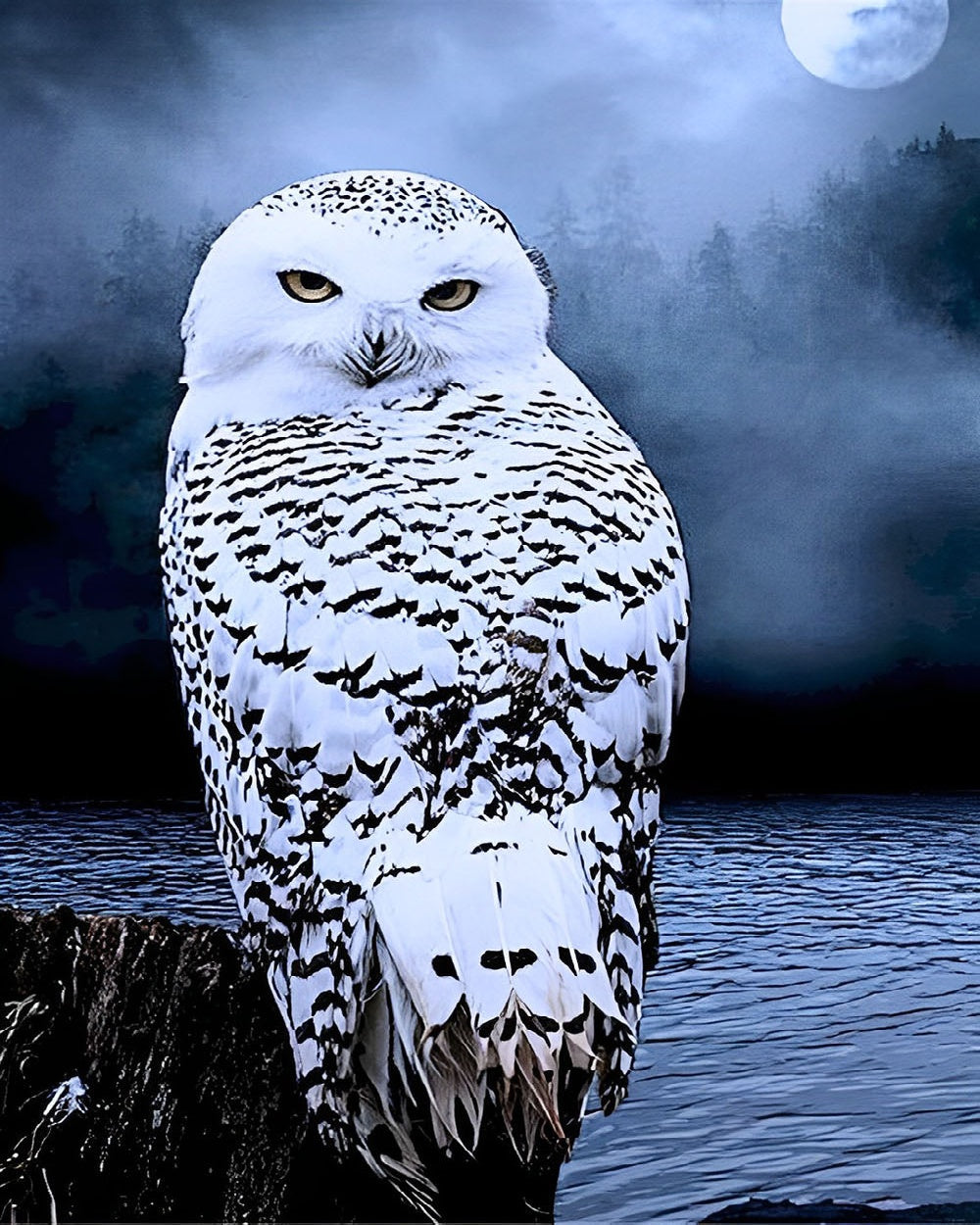 Snowy owl and full moon cross stitch kit for beginners