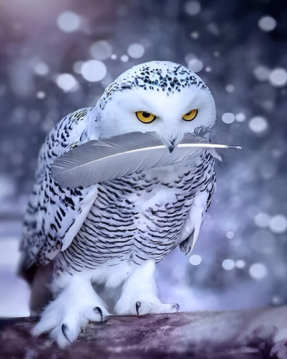 Snowy owl with feather cross stitch kit for beginners