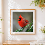 Finished snowy red cardinal cross stitch artwork displayed