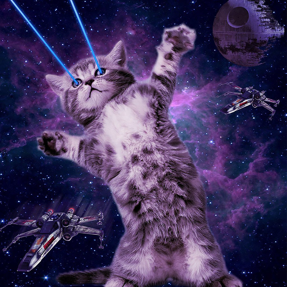 Space cat with laser eyes cross stitch kit for beginners