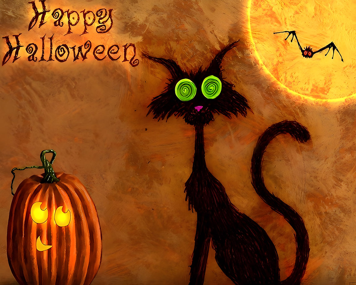 Spooky black cat and jacko lantern paint by numbers kit for beginners