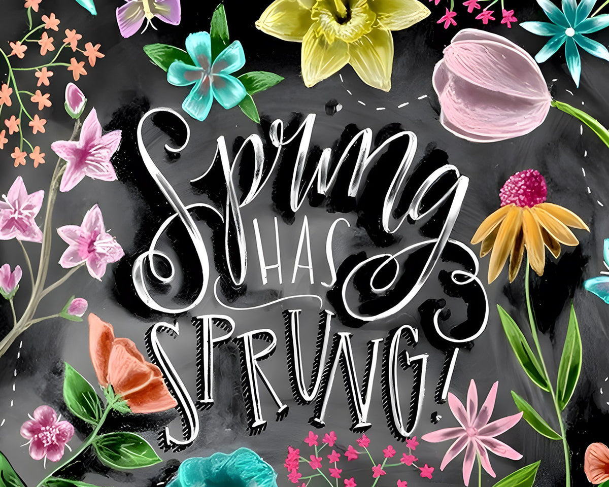 Spring has sprung paint by numbers kit for beginners