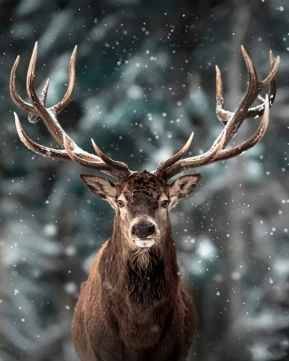 Stag in snowfall cross stitch kit for beginners