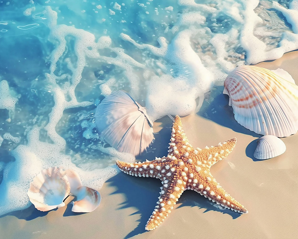 Starfish and seashells on beach cross stitch kit for beginners