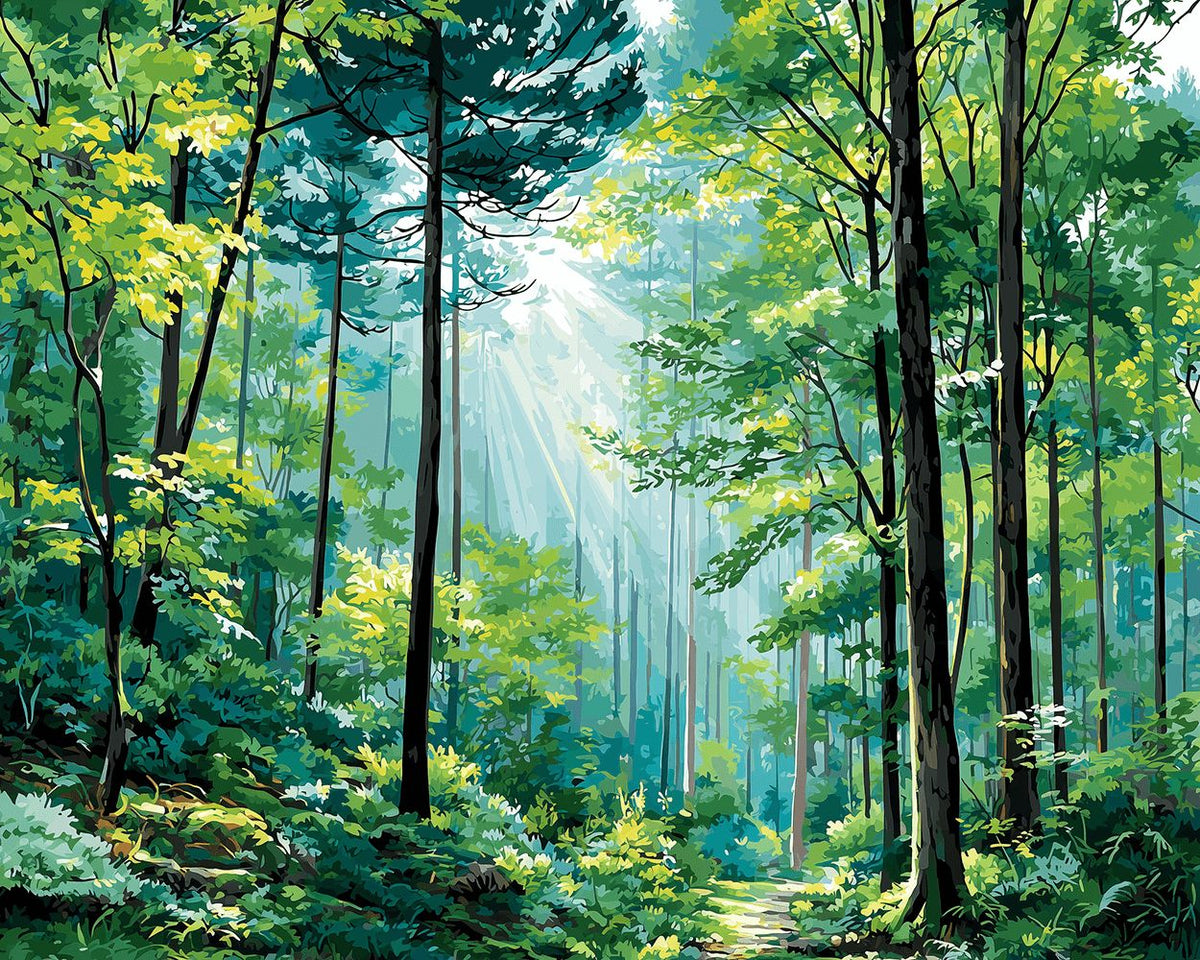 Sunbeams through forest path paint by numbers kit for beginners