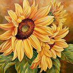 Sunflower close-up cross stitch kit for beginners