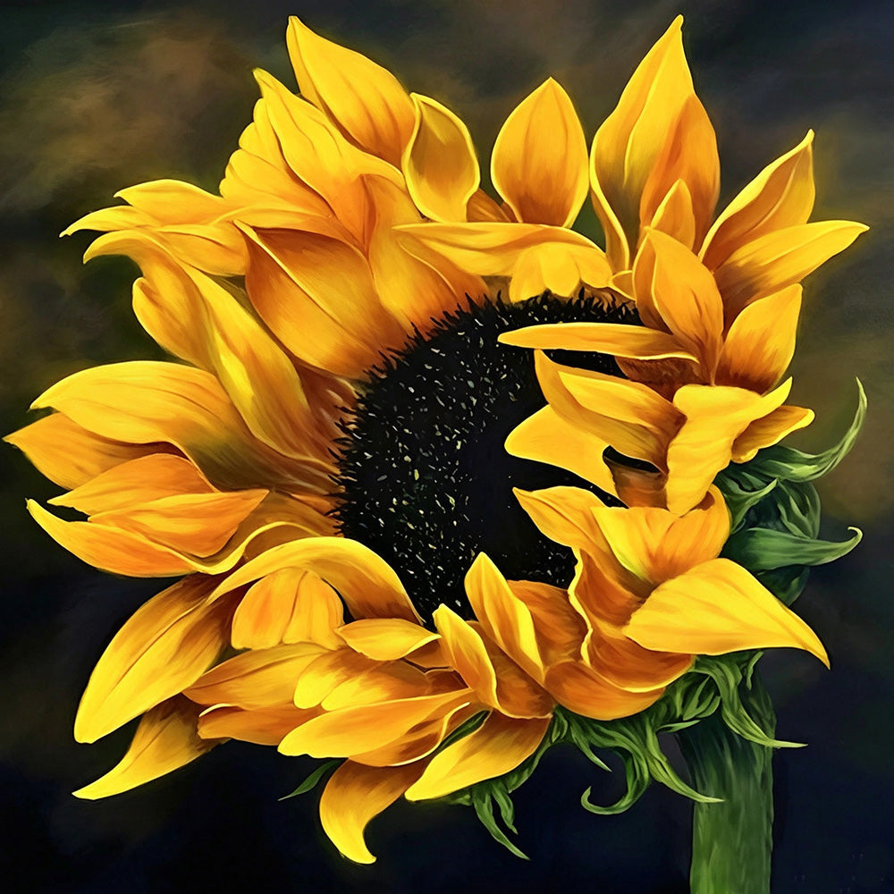 Sunflower on dark background cross stitch kit for beginners
